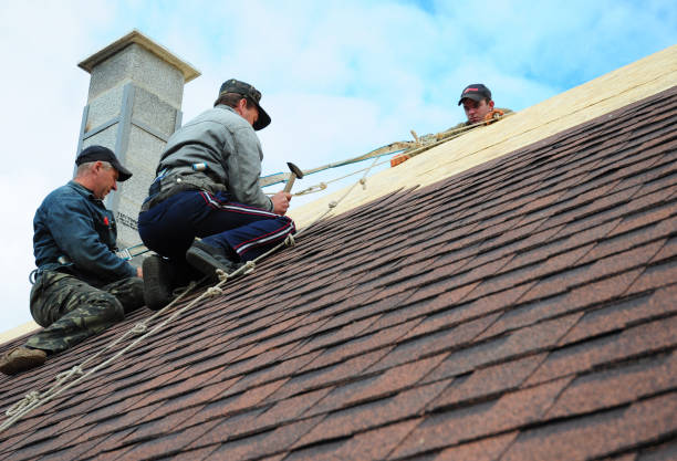 Best Local Roofing Companies  in Fords Prairie, WA